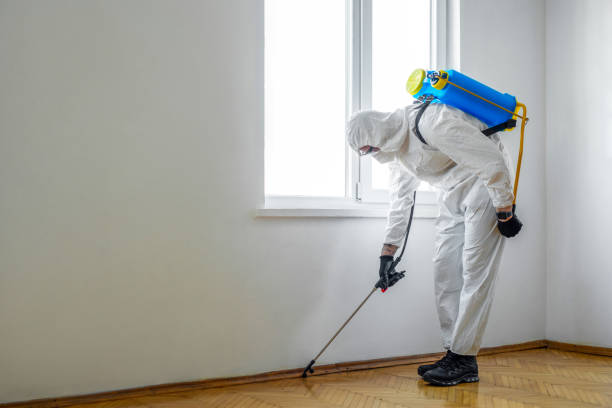 Best Emergency Pest Control  in Meadowdale, WA